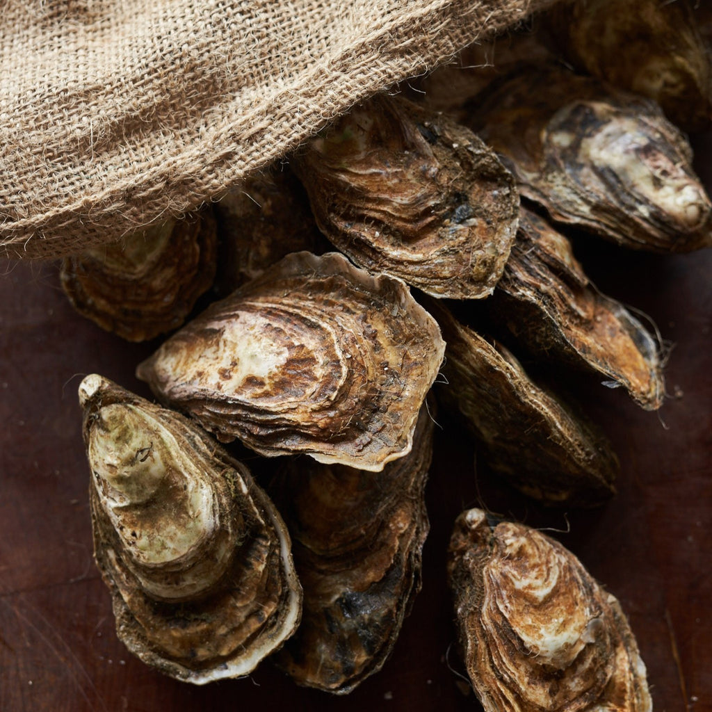 Wholeshell Oysters- XMAS Delivery