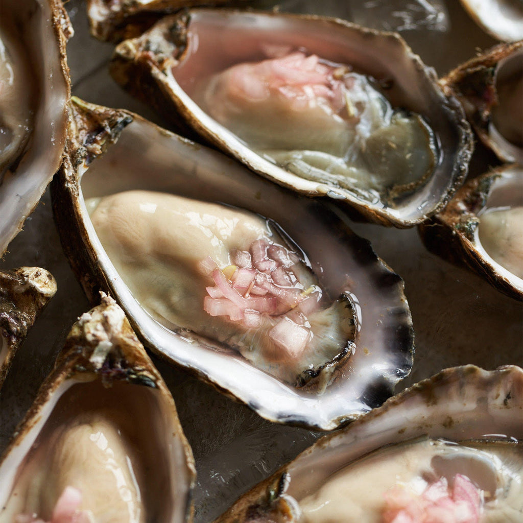 Fresh Halfshell Northern Oysters - XMAS Pick Up Only